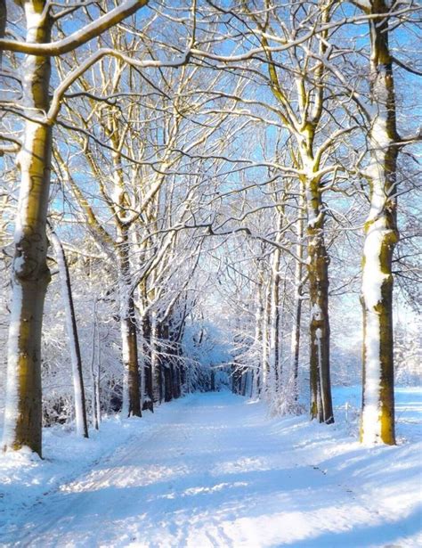 Pin By Pinterest Girl On Winter Wonderland Winter Pictures Winter