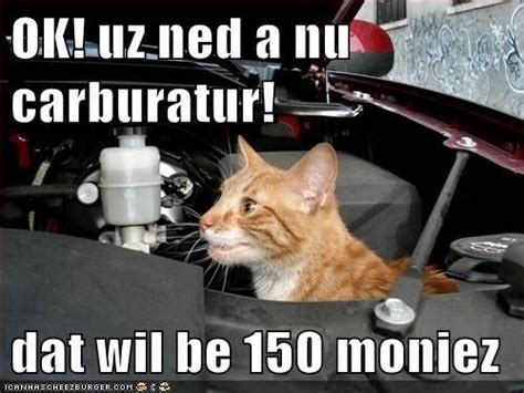 Mechanic Cat Funny Cat Memes Funny Cats Funny Animals Cute Animals