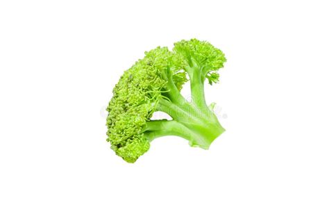 Branch Of Fresh Tasty Green Broccoli Cabbage Isolated On A White