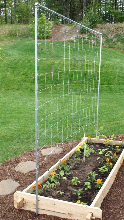 How To Build A Simple Trellis For A Tomato And Vegetable