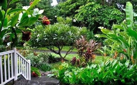 40 Fresh Tropical Garden Ideas With House Plants Homiku
