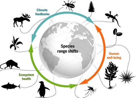 Biodiversity Redistribution Under Climate Change Impacts On Ecosystems