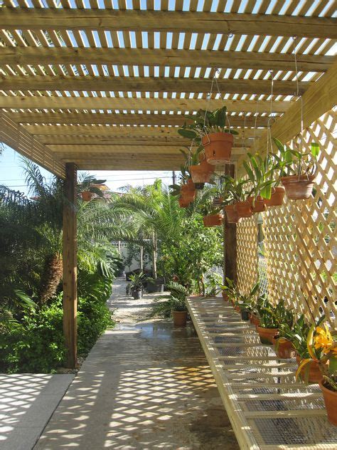 15 Orchid Slat House Ideas Orchid House Shade House Garden Design