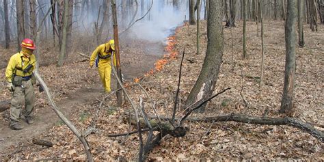 Dnr Fire Staff Resume Prescribed Burns Statewide This Year