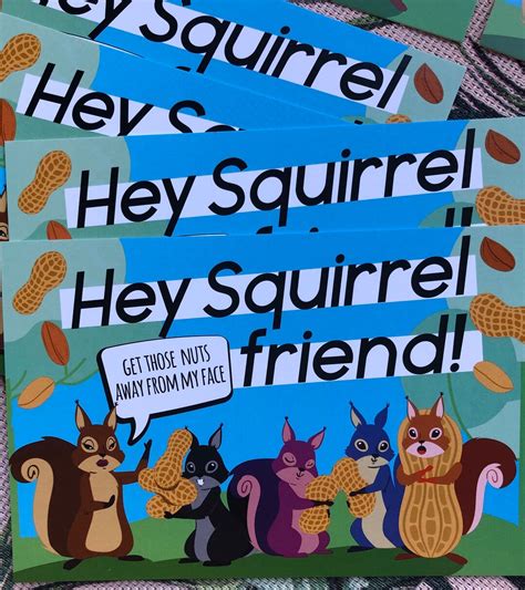 Pack Of 6 Cards Hey Squirrel Friend Get Those Nuts Away From Etsy