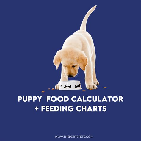 Use the results below as a starting guide to get your dog on the track to a healthy weight. Puppy Food Calculator + Vet-Approved Dog Feeding Guide ...