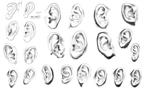 Ear Studies D Schizzo Del Viso Schizzi Viso
