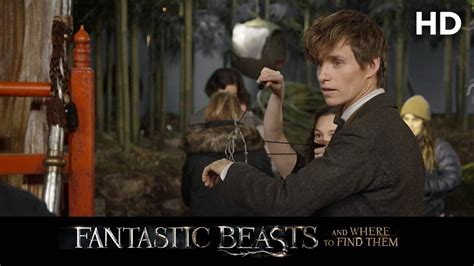 Fantastic Beasts And Where To Find Them 2016 Bowtruckle And Niffler