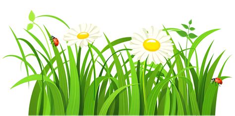Clipart Picture Of Grass 20 Free Cliparts Download Images On