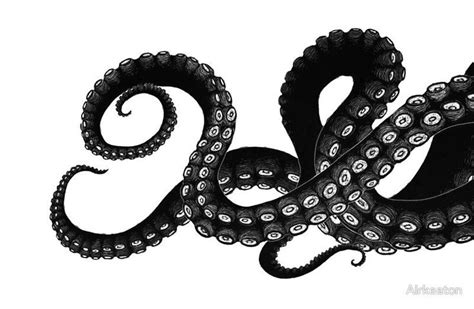 An Octopus Is Shown In Black And White With The Letter O On It S Side