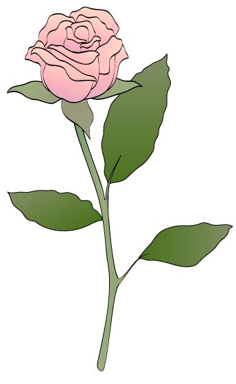 Animated Pink Roses