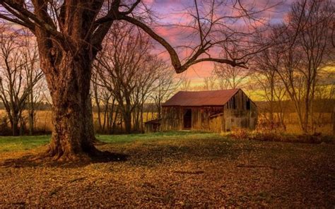 50 Barn Hd Wallpapers Background Images