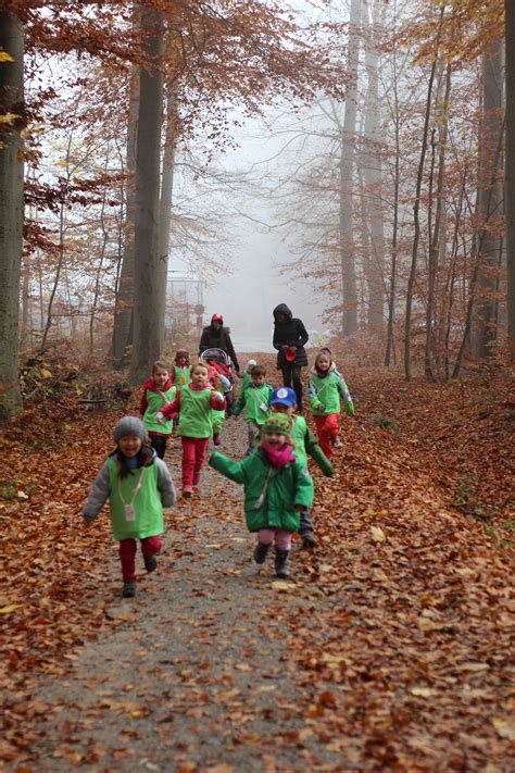 Forest Mornings Children First Daycare And Kindergarten In Zurich