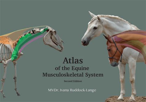 Atlas Of The Equine Musculoskeletal System 2nd Edition Online Only Musculoskeletal System
