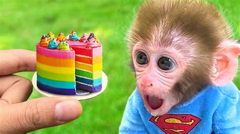 Funny Baby Monkey Images