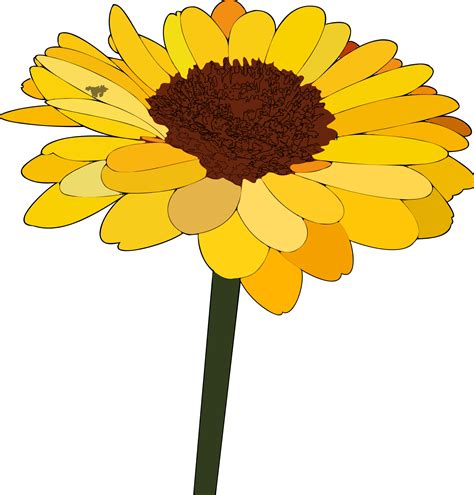 Sunflower Svg Clip Arts Transparent Cartoon Sunflower Png Full Size