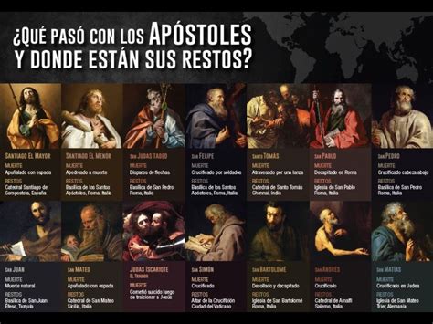 La Vida De Los 12 Apóstoles Apóstoles De Jesús Biblia Cristiana