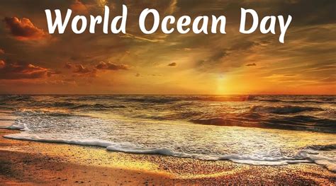 World Ocean Day Quotes 16 Best World Oceans Day 2021 Quotes Wishes