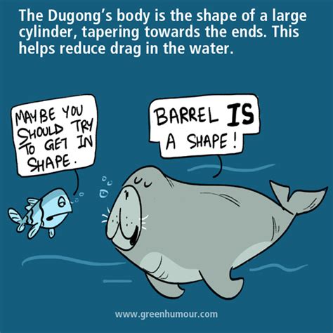Green Humour Some Facts About Dugongs