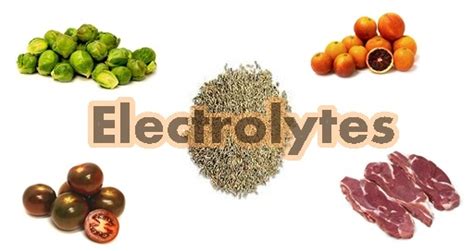 Electrolytes are minerals that have electrical charges and are essential to life. Electrolytes - Resource - Smart Kitchen | Online Cooking ...