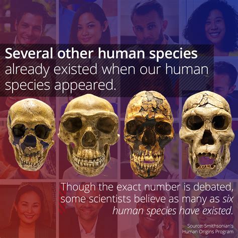 Home Human Species Human Species