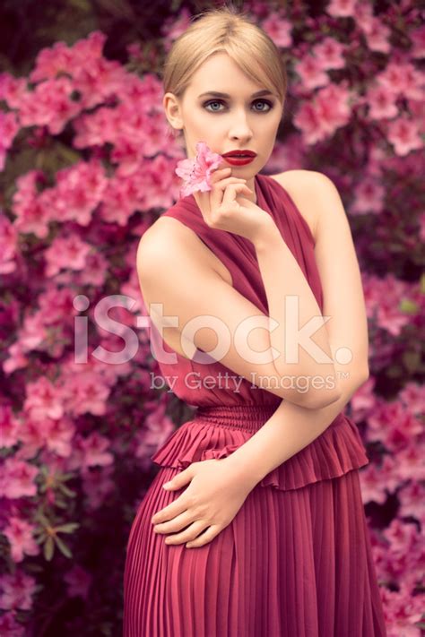 Beautiful Woman Wearing Dress Stock Photo Royalty Free Freeimages
