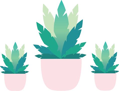 Aesthetic Plant Png Isolated Image Transparent Png Image Pngnice