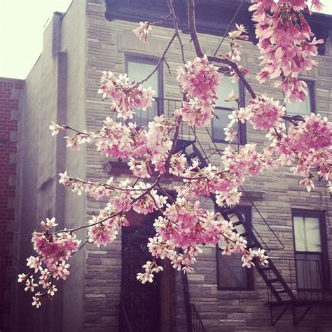 Spring Instagram Instagram Photo Photo