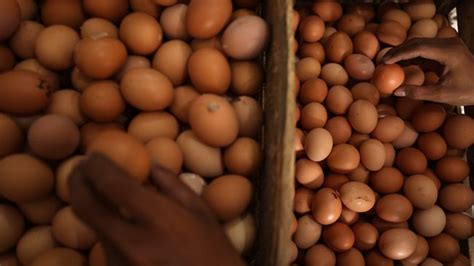 Harga Telur Meledak Mendag Zulhas Ungkap Biang Keroknya