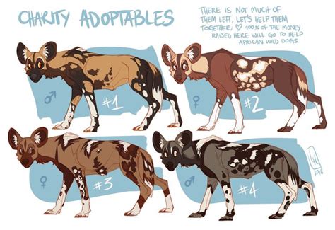 Charity African Wild Dog Auction By Lilaira On Deviantart Wild Dogs