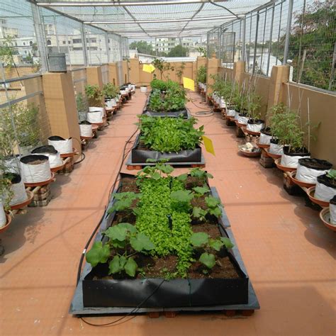 90 cozy and relaxing rooftop terrace design ideas you will. Homecrop Kitchen Garden Kits & Garden Maintenance Services