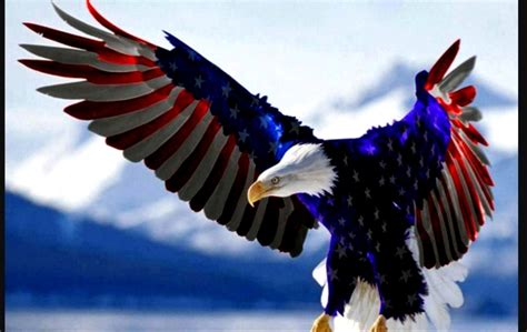 High Resolution American Flag Eagle Wallpaper Never Forget Disaster 9