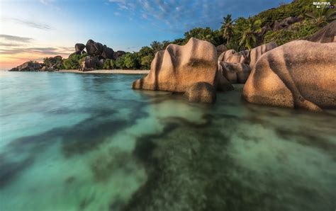 Rocks Palms La Digue Island Ocean Seychelles Beautiful Views