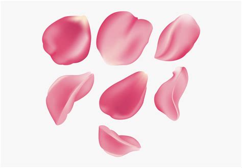 Clip Art Flower Petal Png Pink Rose Petal Png Free Transparent