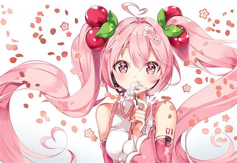 Anime Vocaloid Sakura Miku Hd Wallpaper Peakpx