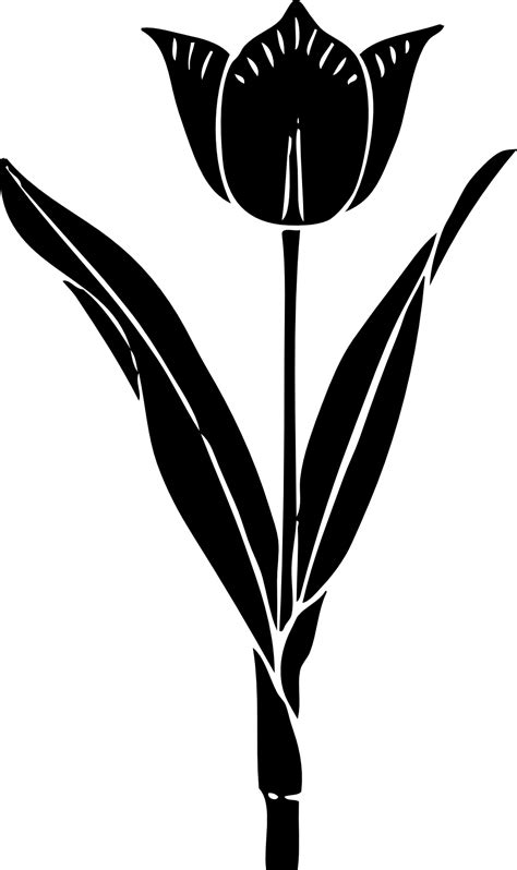 Over 191,316 flower silhouette pictures to choose from, with no signup needed. Silhouette Flower - ClipArt Best