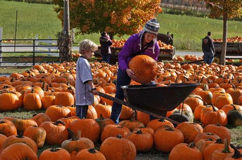 Carve Out A Visit To One Of These 27 Upstate Ny Pumpkin Patches