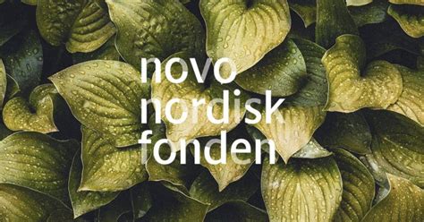 Jun 15, 2021 · the novo nordisk foundation is an independent danish foundation with corporate interests. Novo Nordisk Foundation awards DKK 10 million each to four ...
