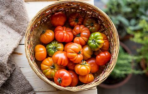 European Tomatoes 8 Tomato Types In Europe Tasteatlas