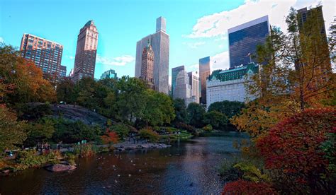 Central Park NYC | Central park nyc, Nyc park, Central park