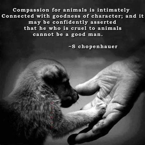 If animals did have voices, and they could speak with the tongues of angels—at the very least with the tongues of i am planning to write a book about humans in animals. #Compassion for #animals.... #quote | Huisdier citaten, Dieren rechten, Ware woorden