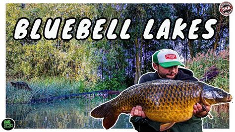 Bluebell Lakes Carp Fishing Youtube