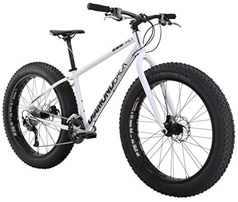 5 Of The Best Affordable Fat Tire Bikes Ride Reviews