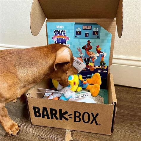BarkBox Review 2024 - Monthly Dog Boxes Full of Surprises