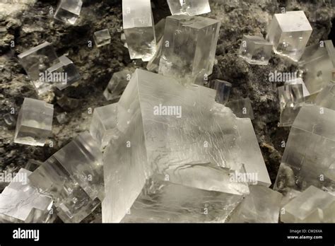 Cristal De Sal De Halita Fotografías E Imágenes De Alta Resolución Alamy