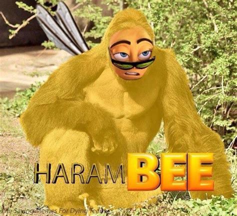 Harambee Bee Movie Know Your Meme