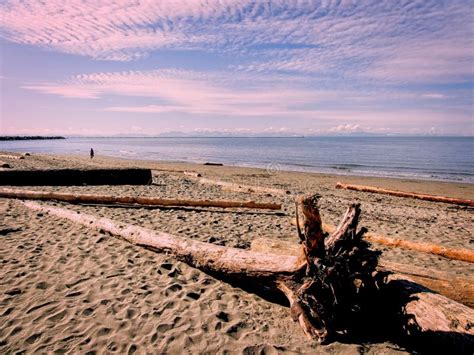 Wreck Beach In Vancouver Stock Photo Image Of British 147381852