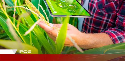 Gest O Do Agroneg Cio Como Est O Mercado De Trabalho Ipog