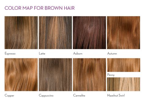 Chestnut Brown Hair Color Chart Ismodesigns