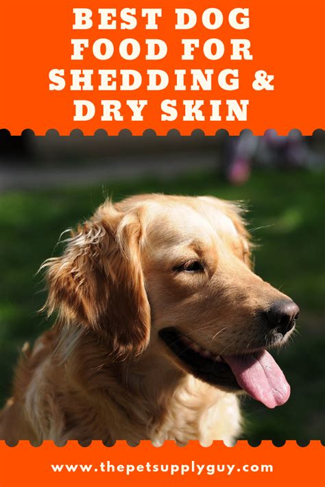 For most dogs, shedding is an essential part of their skin and fur health. Best Dog Food for Shedding and Dry Skin - The Pet Supply ...